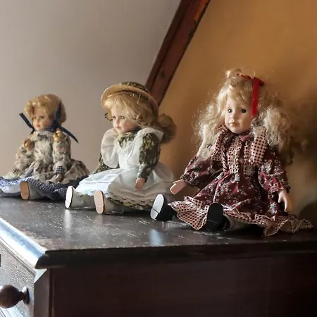 Alpaka Glueck Semesterbostad Frauenstein (Saxony)