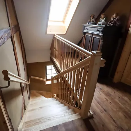 Alpaka Glueck Frauenstein (Saxony)