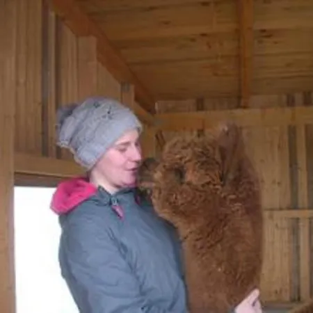 Alpaka Glueck * Frauenstein (Saxony)