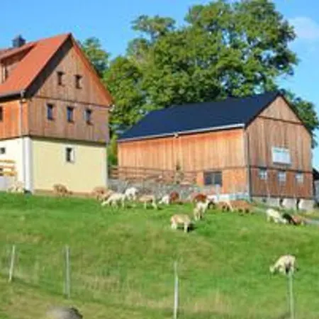 Alpaka Glueck Frauenstein (Saxony)