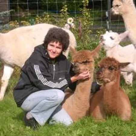 Alpaka Glueck Semesterbostad