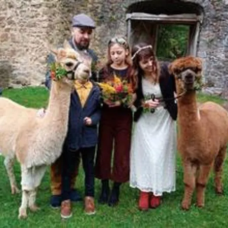 Semesterbostad Alpaka Glueck