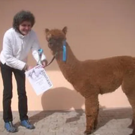 Alpaka Glueck Semesterbostad