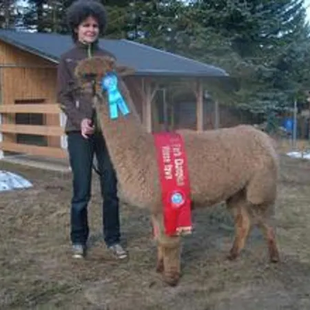 Alpaka Glueck Semesterbostad