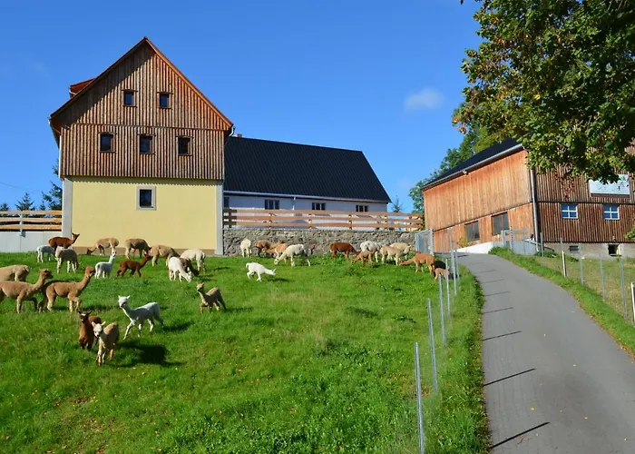 Alpaka Glueck * Фрауэнштайн