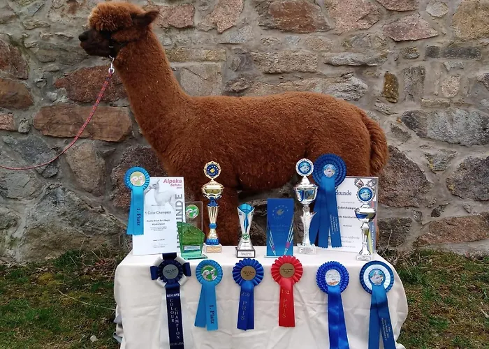 Дом отдыха Alpaka Glueck