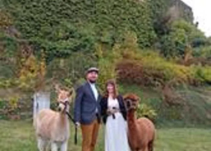 Дом отдыха Alpaka Glueck *