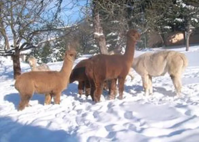 Alpaka Glueck Дом отдыха *