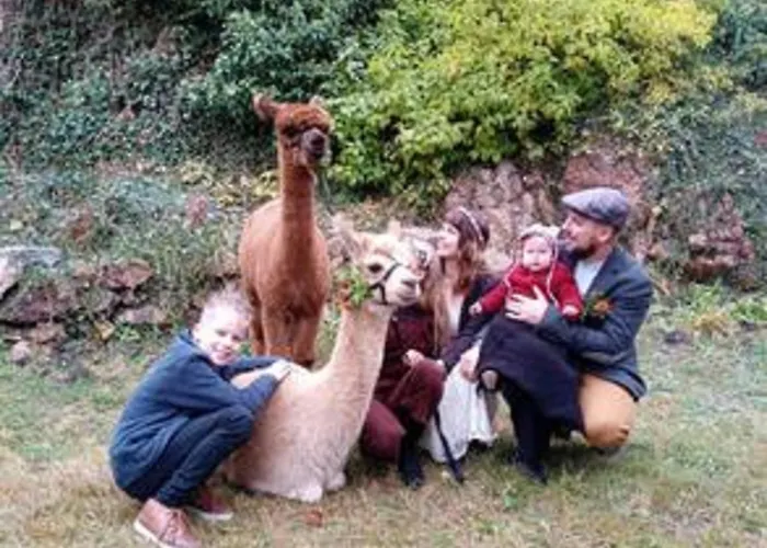 Alpaka Glueck Фрауэнштайн