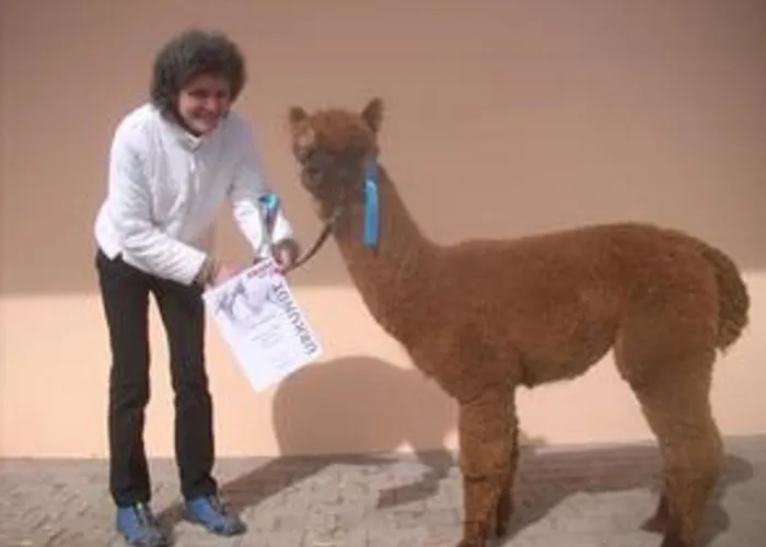 Alpaka Glueck Дом отдыха