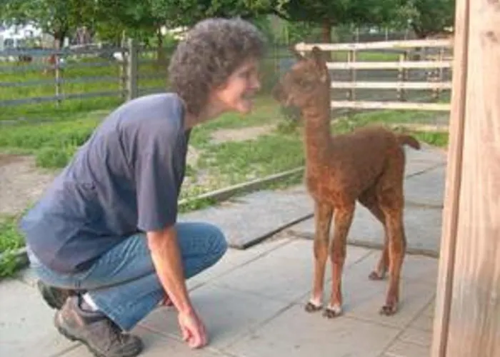 Дом отдыха Alpaka Glueck Фрауэнштайн