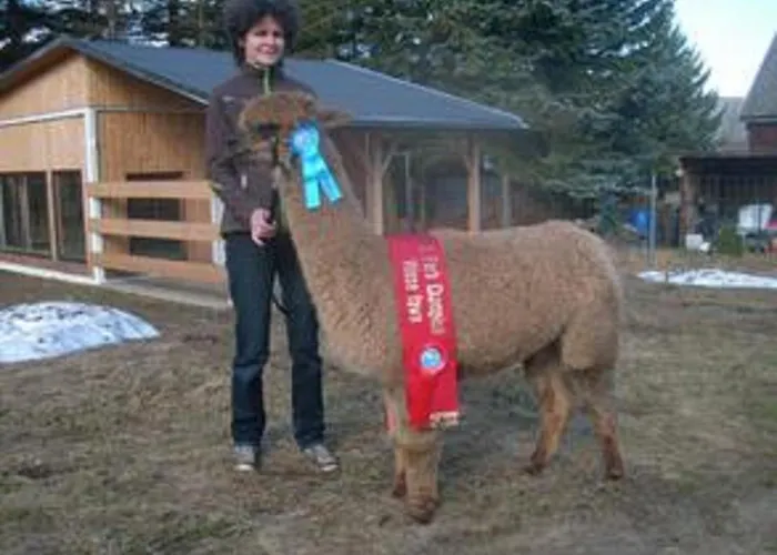 Alpaka Glueck Дом отдыха